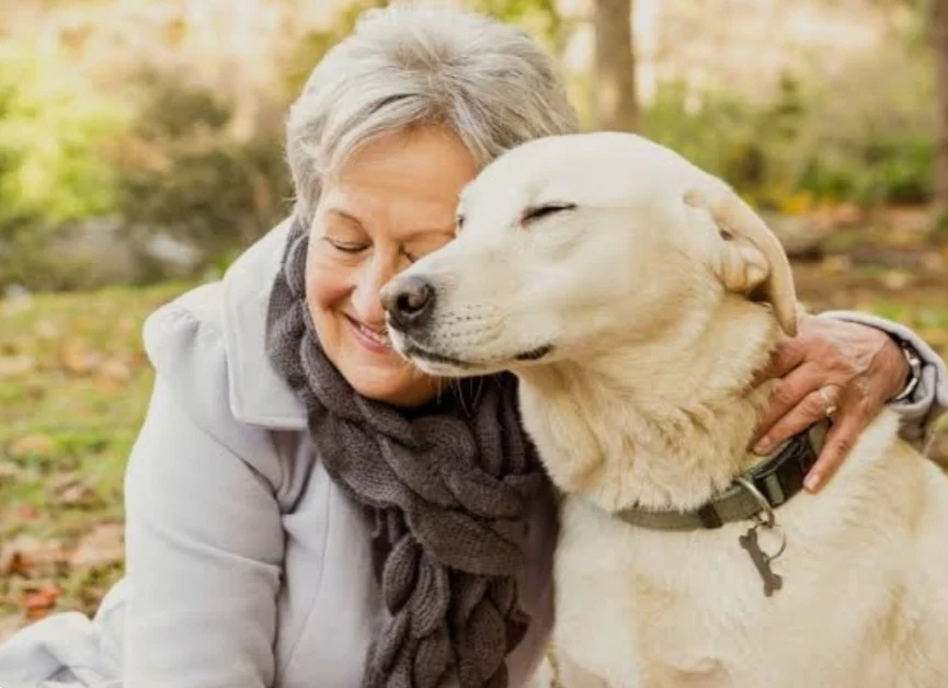 Саг – яке аз дӯстони ҷонию вафодори инсон мебошад