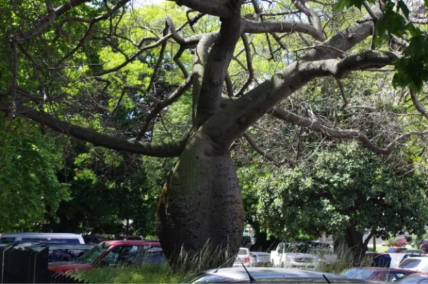 НЬЮ-ЙОРК – БУЭНОС-АЙРЕС: ИЗ ВЕСНЫ В ОСЕНЬ