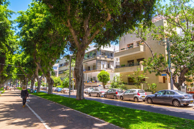 Мечта о белом городе