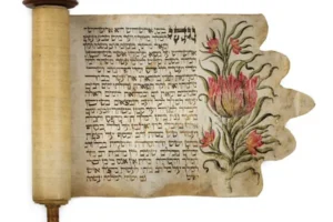 Невероятно, но факт! Осуждённый террорист баллотируется в городской совет Бирмингема